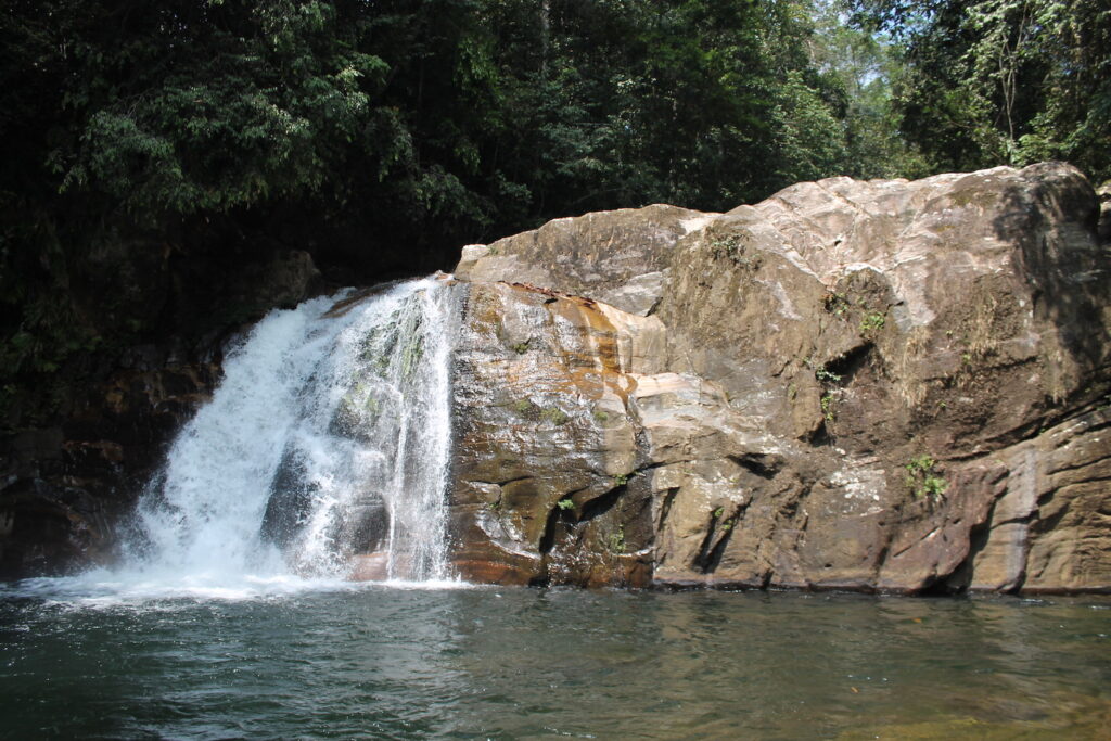 Sinharaja rainforest waterfall