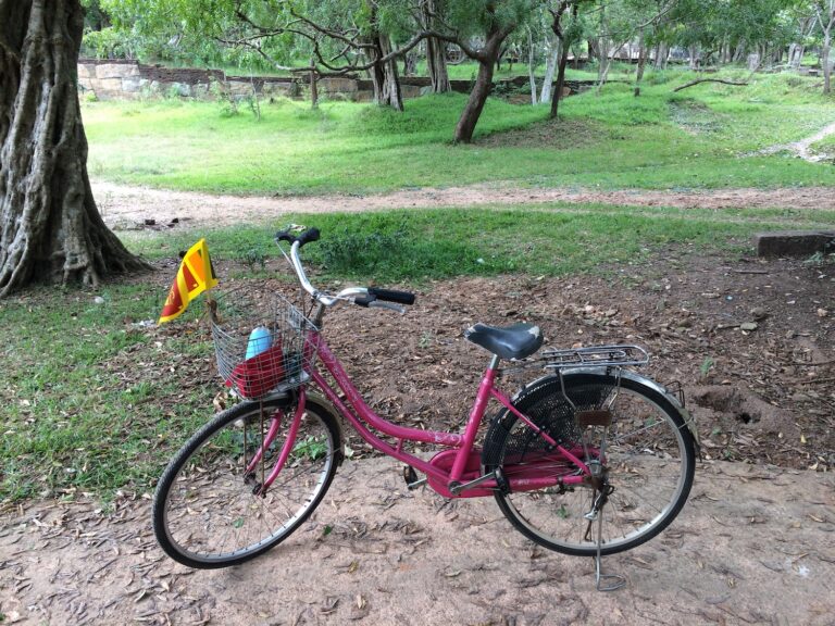 pink bicycle at Anuradhapura