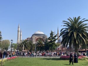 Hagia Sophia as seen from the garden of grass, tulips and palm trees. Crowd of people in front of the mosque.
