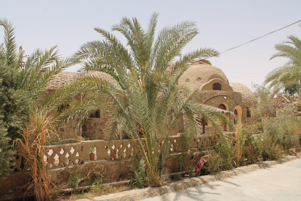 Dome roof of buildings in Bahariya Oasis with palm trees in front of the garden.